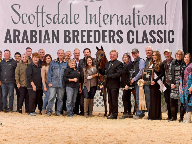 Arabian show results scottsdale Show Results