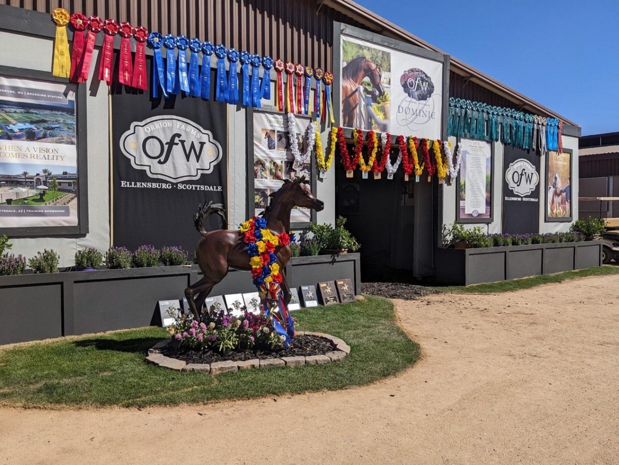 2023-scottsdale-arabian-horse-show-results-orrion-farms
